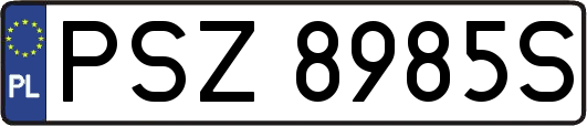 PSZ8985S