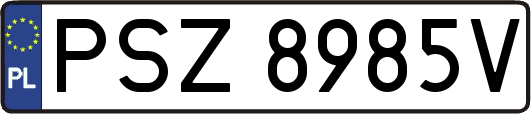 PSZ8985V