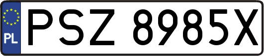 PSZ8985X
