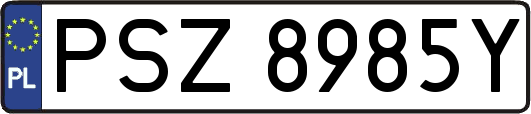 PSZ8985Y