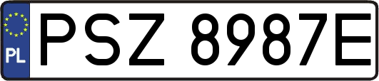 PSZ8987E