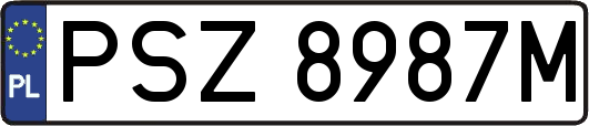 PSZ8987M