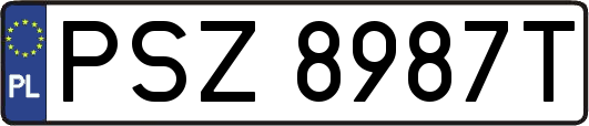 PSZ8987T