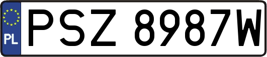 PSZ8987W