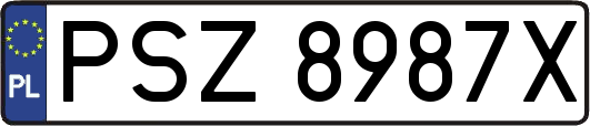 PSZ8987X