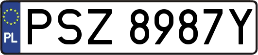 PSZ8987Y