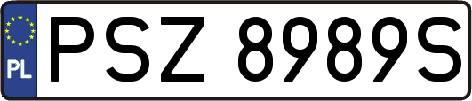 PSZ8989S