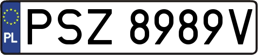 PSZ8989V