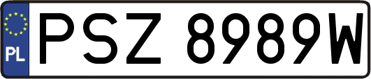 PSZ8989W
