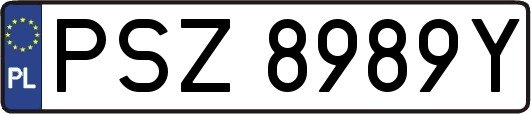 PSZ8989Y