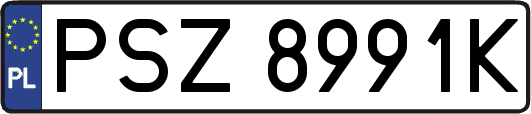 PSZ8991K