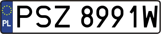 PSZ8991W