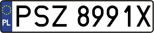 PSZ8991X