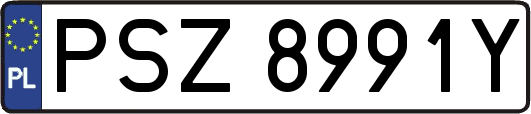 PSZ8991Y