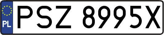 PSZ8995X