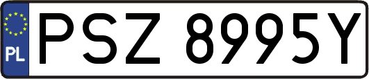 PSZ8995Y