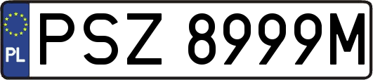 PSZ8999M