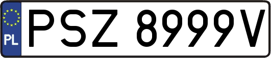 PSZ8999V