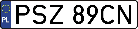 PSZ89CN