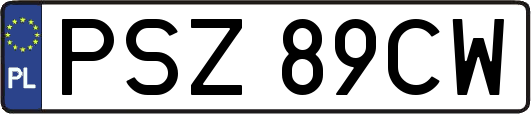 PSZ89CW