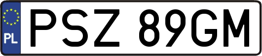 PSZ89GM