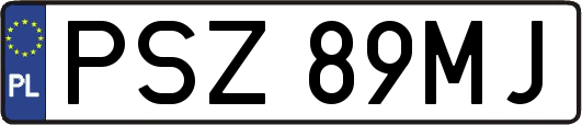 PSZ89MJ