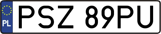 PSZ89PU