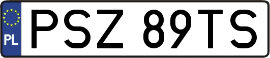 PSZ89TS
