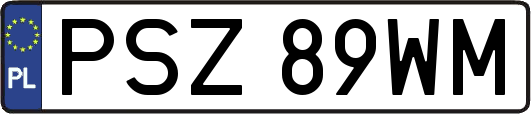 PSZ89WM