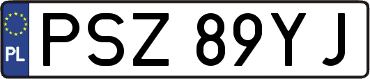 PSZ89YJ