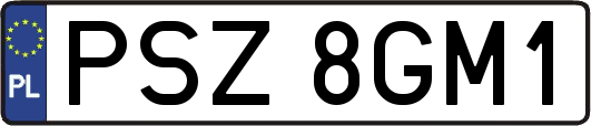 PSZ8GM1
