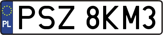 PSZ8KM3