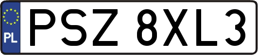 PSZ8XL3
