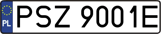 PSZ9001E