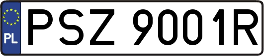 PSZ9001R