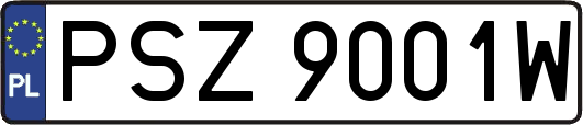 PSZ9001W