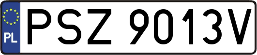 PSZ9013V
