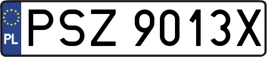 PSZ9013X