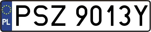 PSZ9013Y