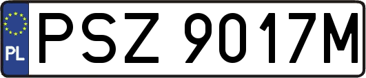PSZ9017M
