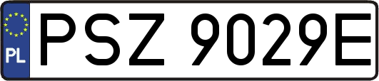 PSZ9029E