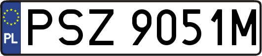 PSZ9051M