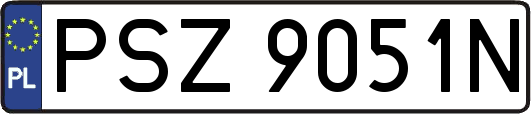 PSZ9051N