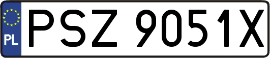 PSZ9051X