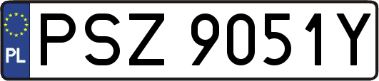 PSZ9051Y