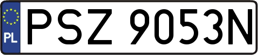 PSZ9053N