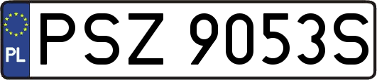 PSZ9053S