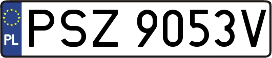 PSZ9053V