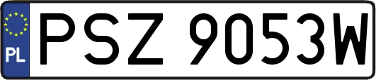 PSZ9053W