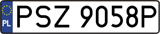 PSZ9058P